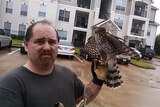 A small hawk sits on a man's gloved hand.