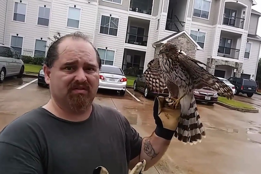 A small hawk sits on a man's gloved hand.