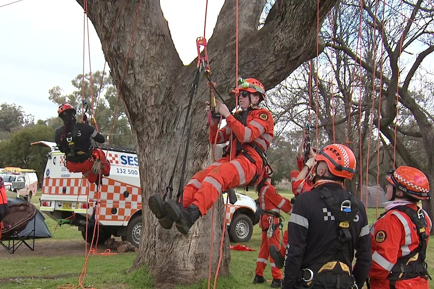 a group of emergency services personnel hanging from trees with ropes