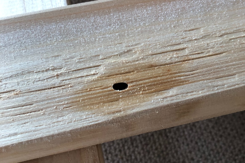 A small hole in a plank of wood.