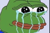 An image of Pepe the Frog — a cartoon frog linked to the alt-right movement.