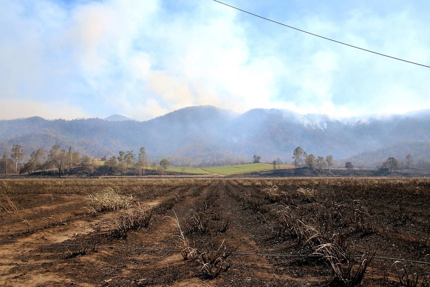 Cane fields destroyed by bushfires at Pioneer Valley on November 30, 2018.