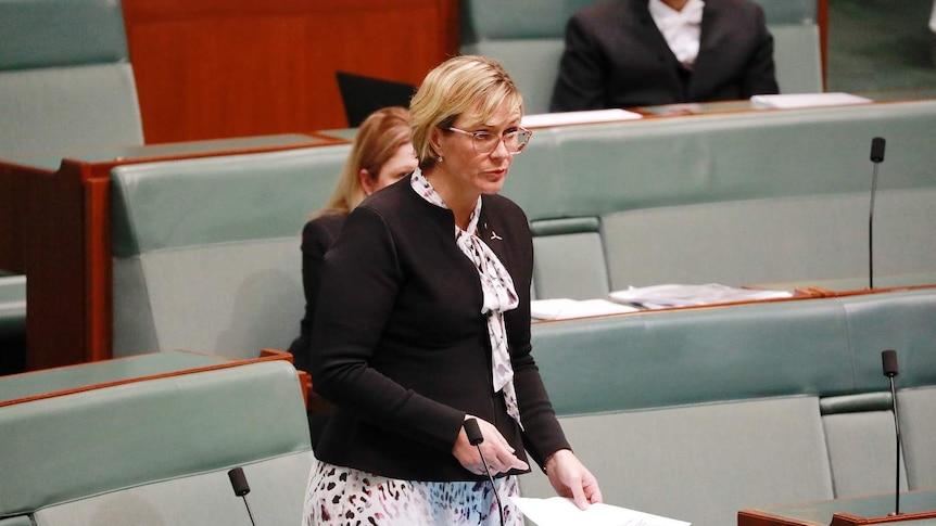 Zali Steggall speaking in the chamber.