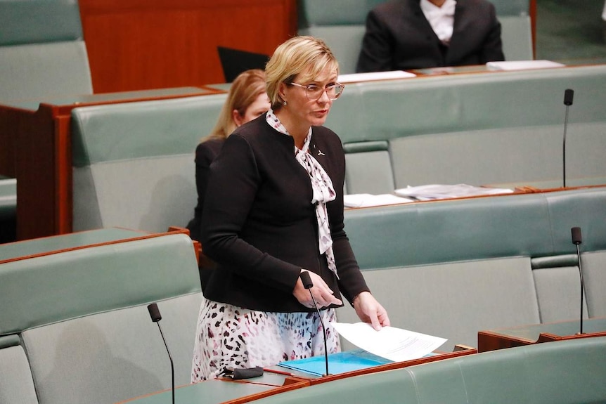 Zali Steggall speaking in the chamber.