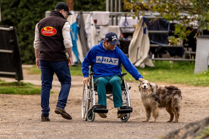 A man in a wheelchair pats a dog.