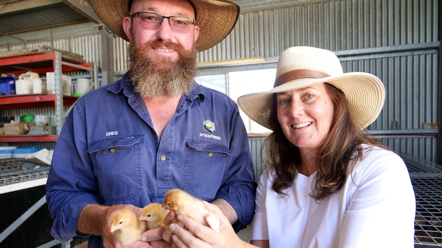 Two people smiling wearing big hats look at the camera, holding little chickens