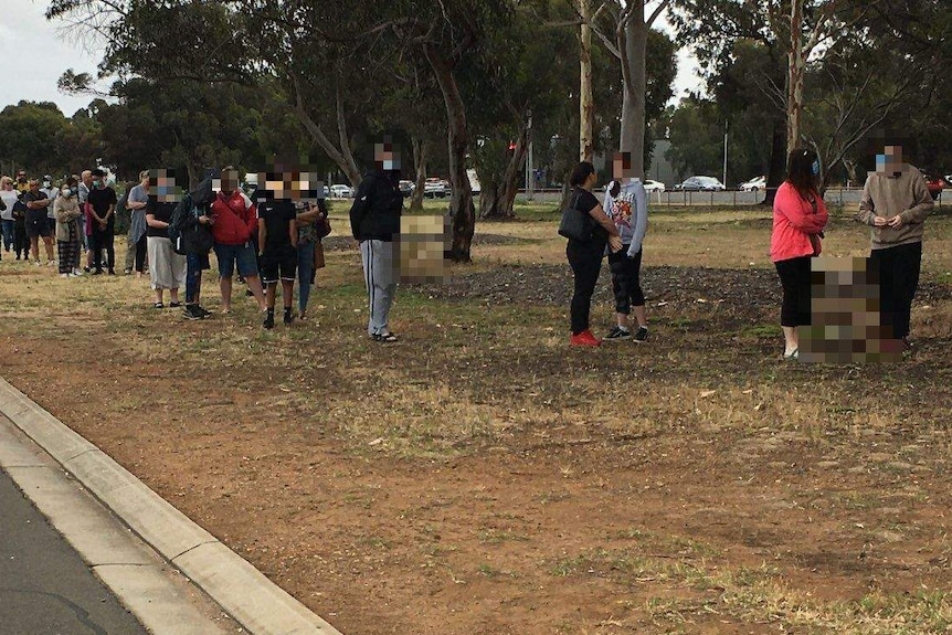 A line of people on grass and under trees