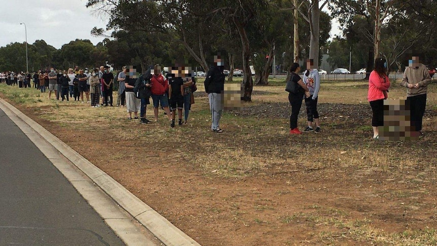 A line of people on grass and under trees