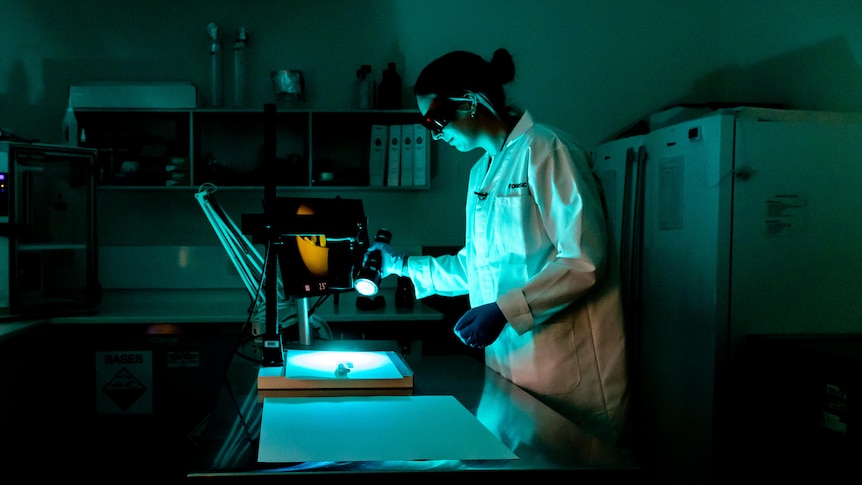 A forensic scientist examines a knife under a fluorescent light.