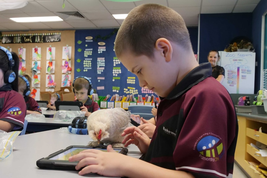 Child and chicken sitting with tablet.