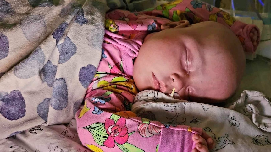 Baby Elle Ahern asleep in a hospital crib