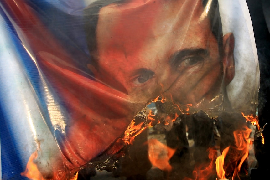 Protesters burn Assad banner (AFP: Khaled Desouki)