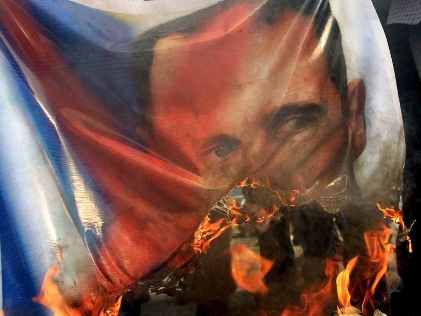 Protesters burn Assad banner (AFP: Khaled Desouki)