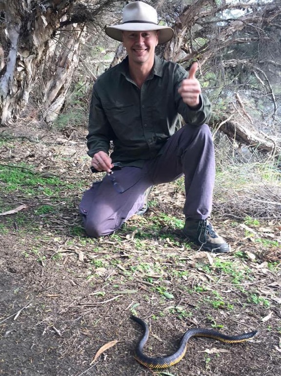 Man in bush hat crouching with a tiger snake about two metres in front of him