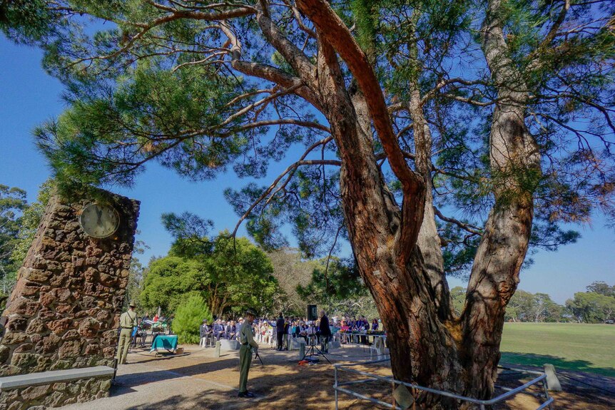People gather at an Anzac Day service at the Lone Pine tree in Wattle Park, Burwood.