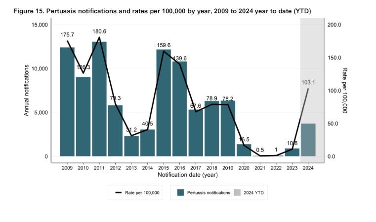 Year to date pertussis (whooping cough) rates chart showing uptick June 2024 but below 2009-12 and 2015-16