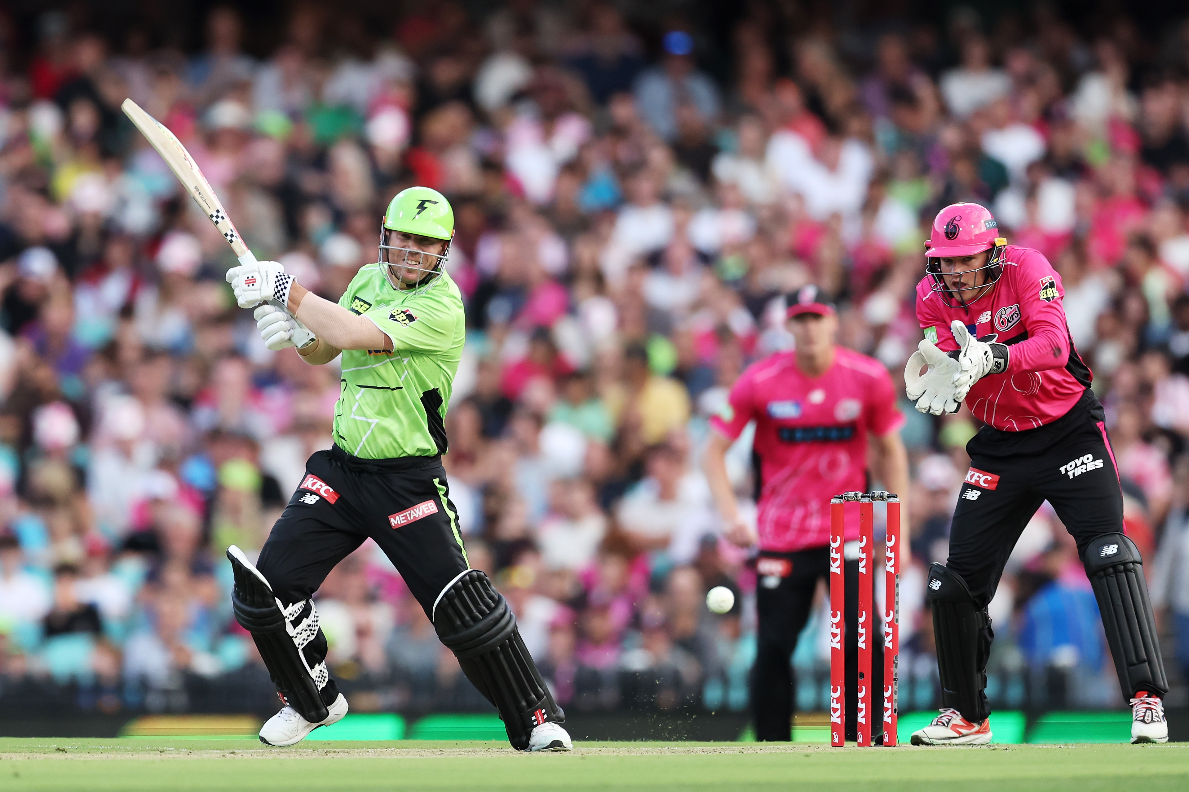 Major state fears cricket will be worse off with private investment