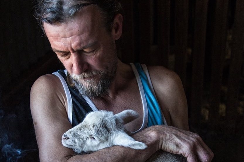 A shearer is sitting, holding a lamb on his lap, and looking down at it.