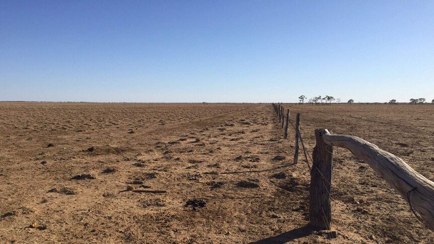 Looking down a fence line in outback Queensland.