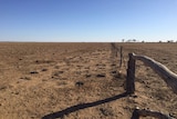 Looking down a fence line in outback Queensland.