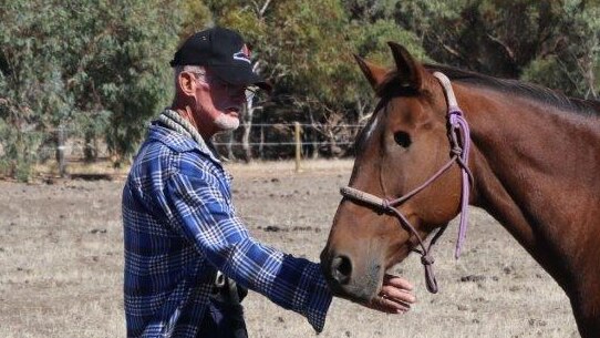 Alan Gent pats rescued horse Honner