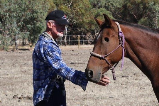 Alan Gent pats rescued horse Honner