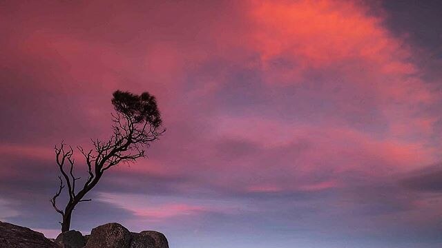 Sunset over the rocks of Bay of Fires in Tasmania.