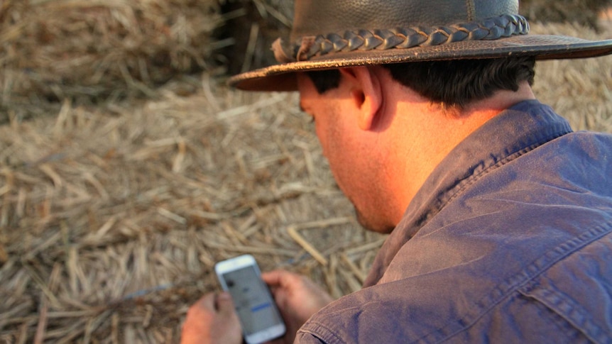 A man stands with a haybale and phone in his hand