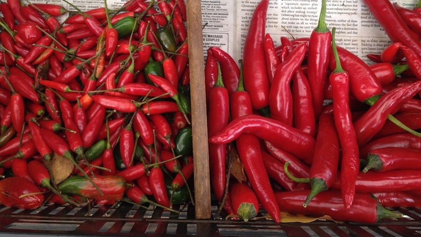Red hot chillies!