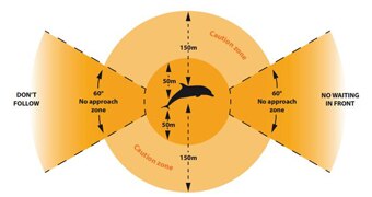 Recommended distance from dolphins