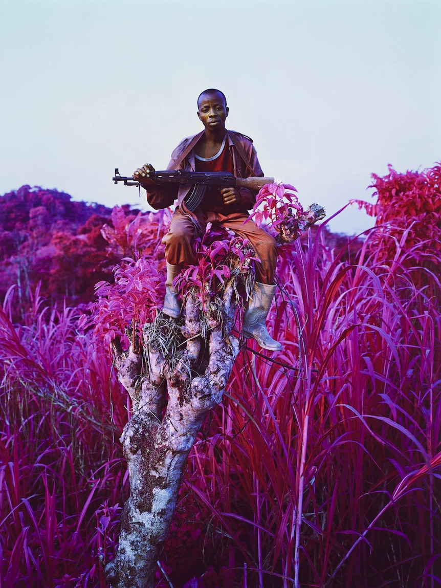 A young Congolese man holding a gun sits on a tree branch surrounded by purple grass.