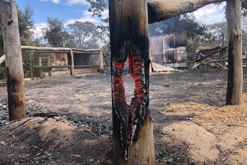 A burnt-out wooden beam with its centre still glowing orange after a bushfire.