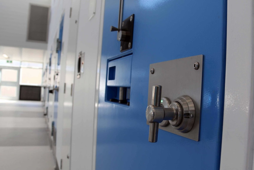 A row of prison doors.