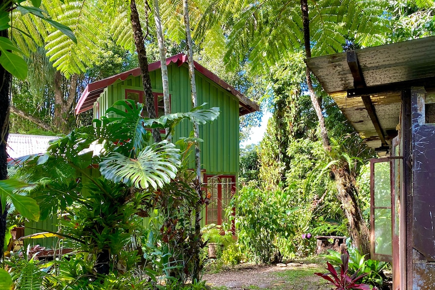 A small green house hidden behind trees inside a tropical rainforest