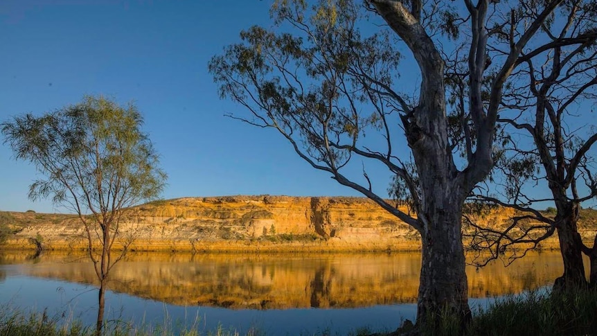 Morgan Conservation Park, River Murray.