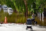 A woman with a dog and pram stands at the edge of floodwaters that cover a leafy street.
