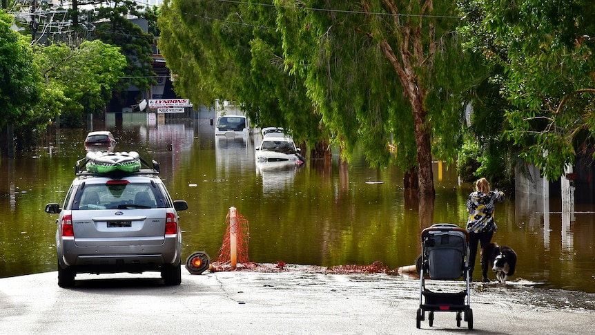 A woman with a dog and pram stands at the edge of floodwaters that cover a leafy street.