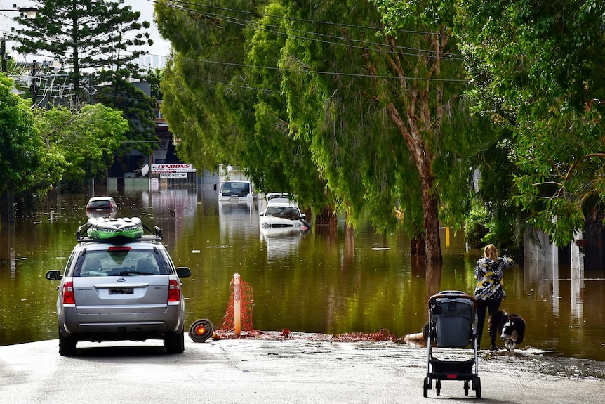 A woman with a dog and a pram stands at the edge of floodwaters covering a leafy street.