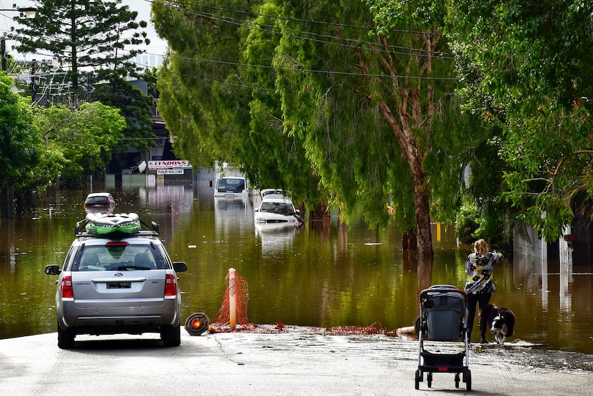 A woman with a dog and pram stands at the edge of floodwaters that cover a leafy street.