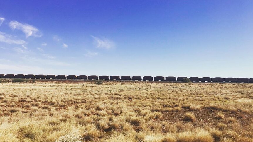 A freight train travels along the horizon with grassy plains in the foreground.