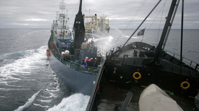 The captain of the Steve Irwin, Paul Watson, says nothing could be done to stop the collision.
