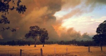 Rapid change for Australia's ecosystem.