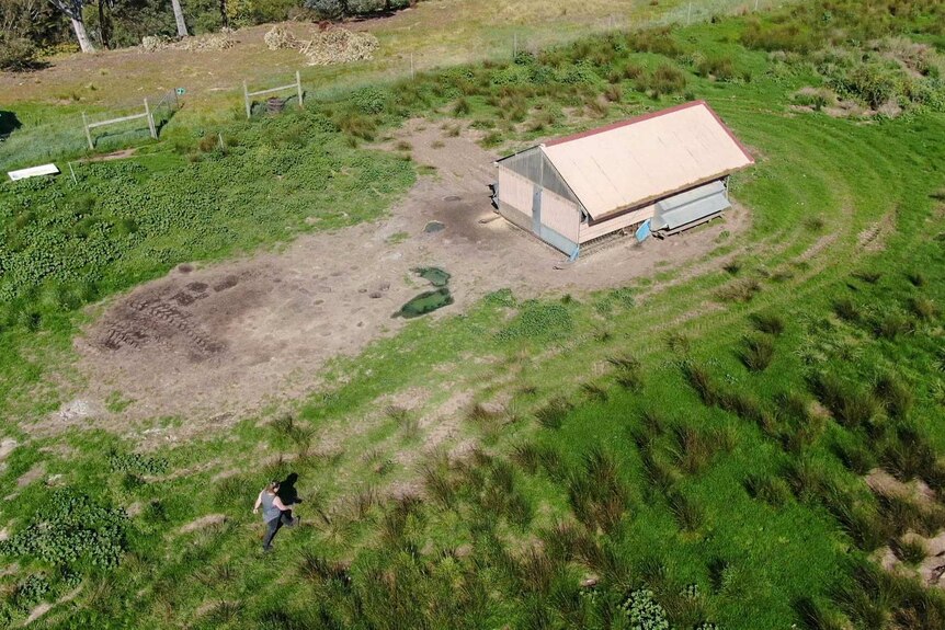 A birds eye view of a chicken shed in a green paddock with a woman in grey walking towards it.