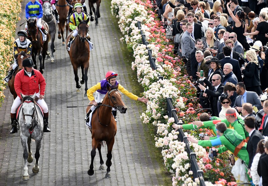 Spring Carnival 2014: Photo gallery - ABC News