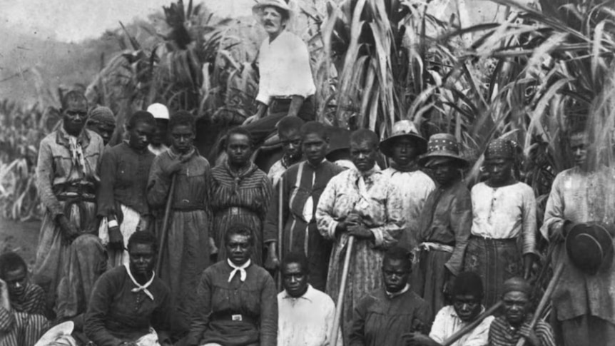 Black and white image group of people from the Pacific stare at camera from a QLD plantation. Their boss sits behind them. 