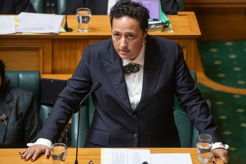 Woman in black suit speaks in parliament 