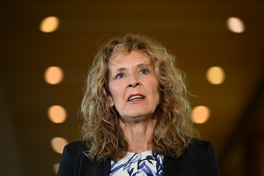 A middle-aged woman with long, wavy blonde hair speaks in front of a Parliament House hallway.