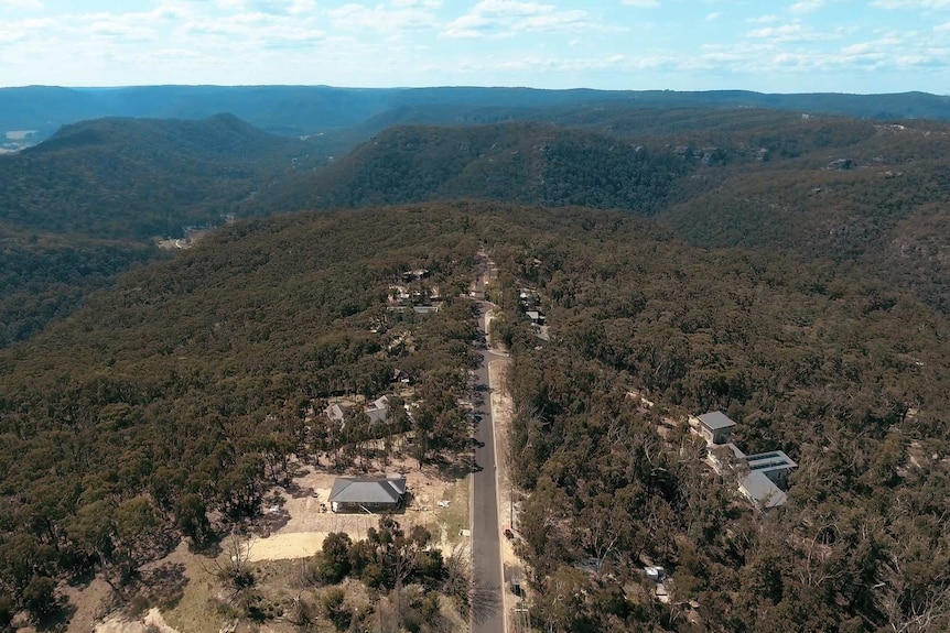 A drone shot of Mount Victoria's dense bushland and remaining houses.