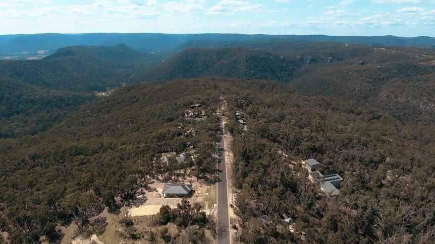 A drone shot of Mount Victoria's dense bushland and remaining houses.