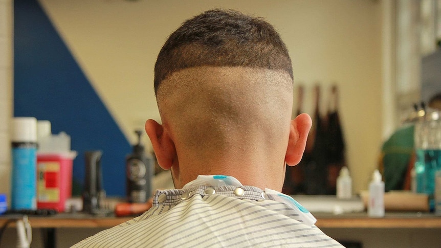 The back of a boys head, showing the 'fade' hairstyle, where it's short on the sides, and gradually fades to be longer on top.